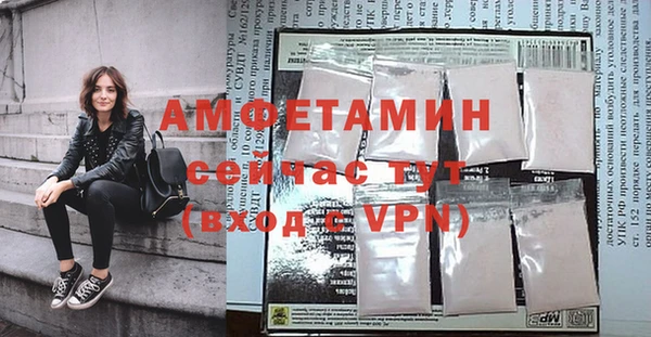 МДПВ Снежногорск