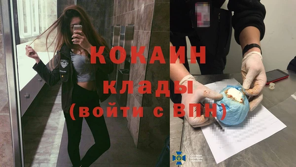крисы Вязники